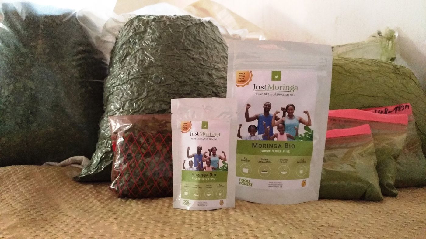 Sachets et sacs de poudre de Moringa Mazao